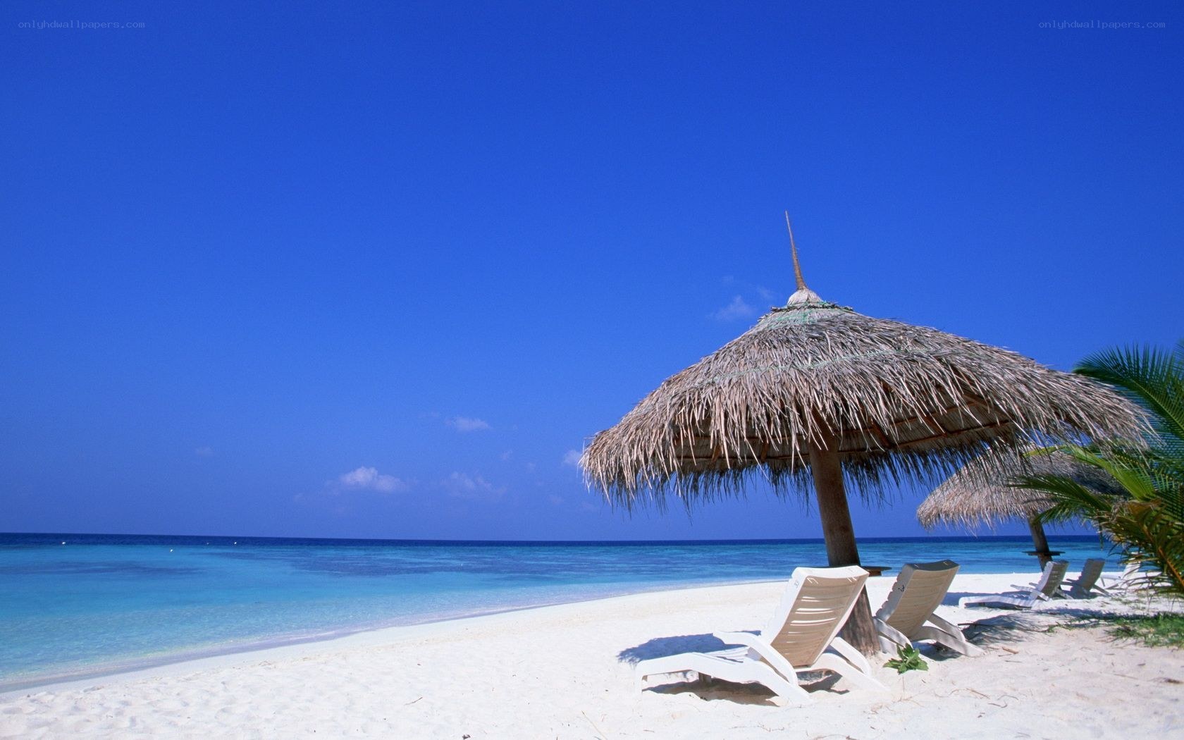 Tropical beach with thatched umbrellas