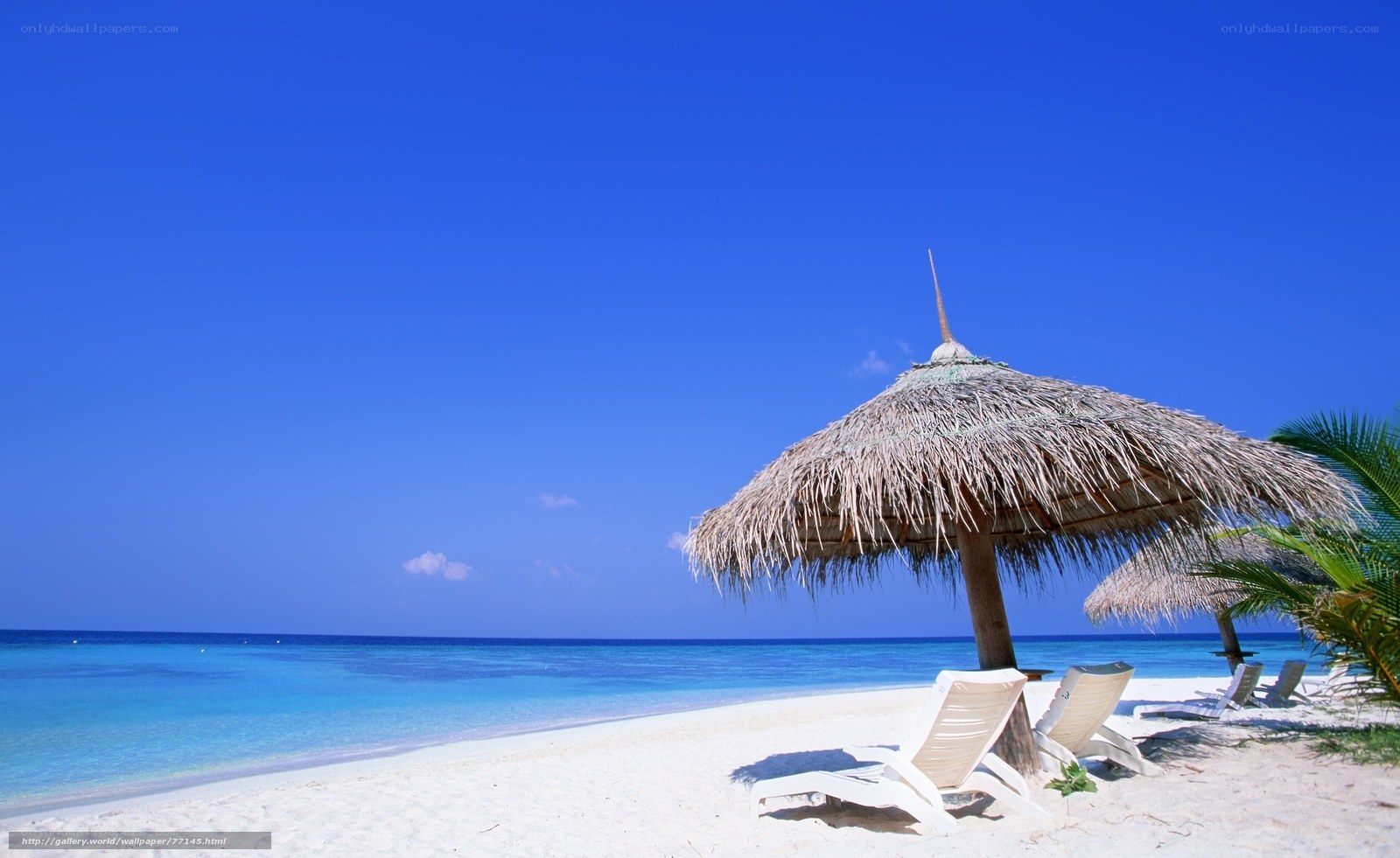 Tropical beach with thatched umbrellas