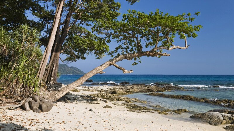 Tropical Beach with Tree — Blue, Serene, Afternoon, Photograph, Sand, Ocean, Rocks, Green