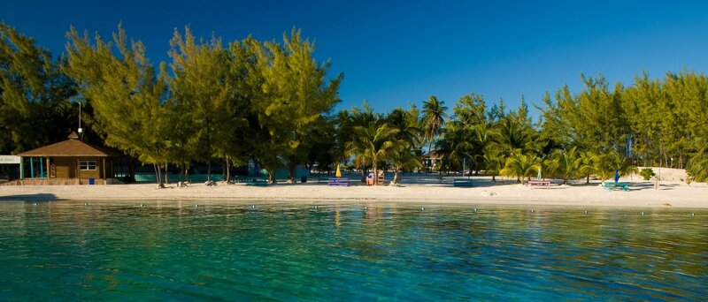 Tropical Beach with Trees — Blue