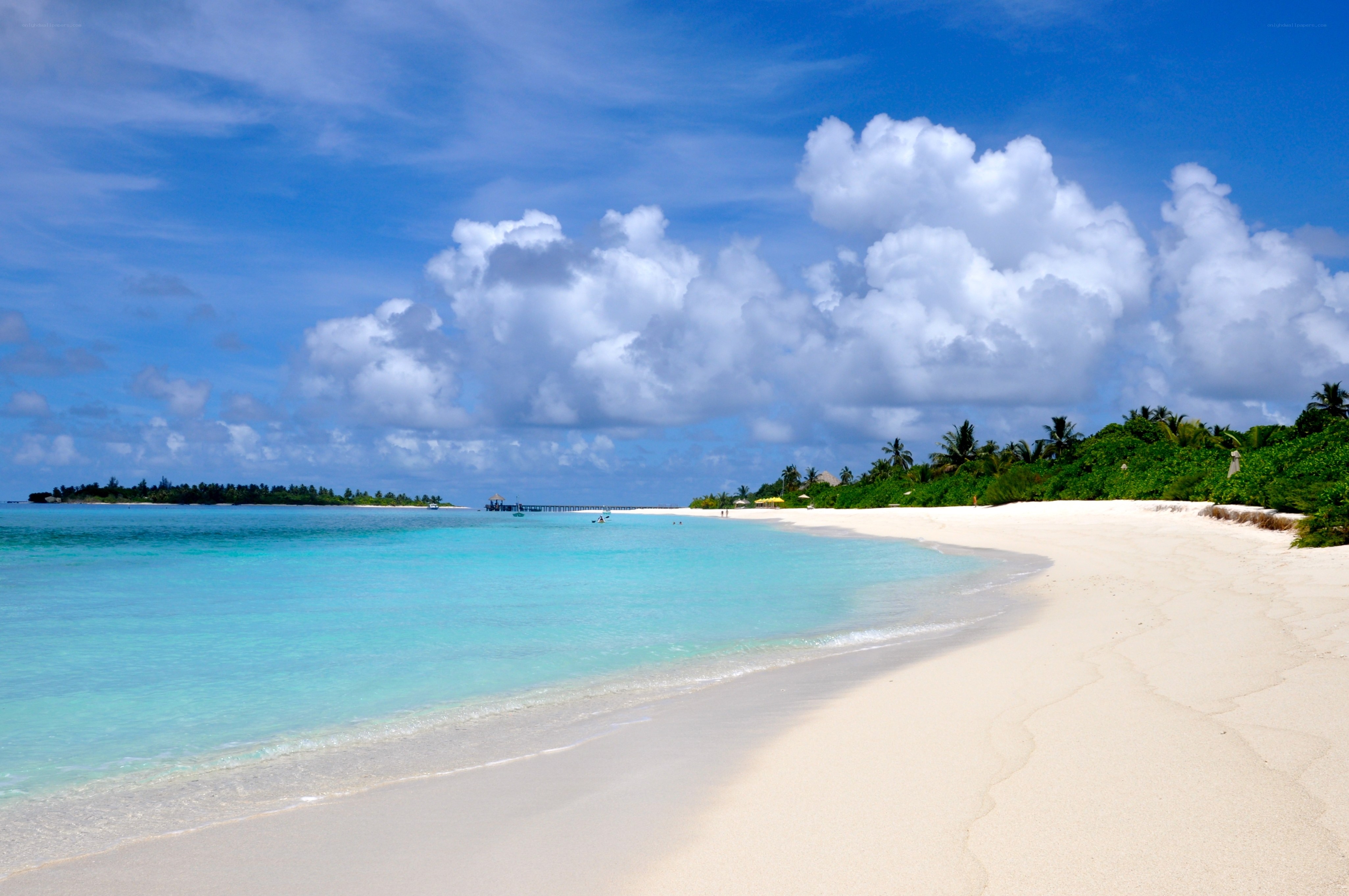 tropical beach with turquoise water