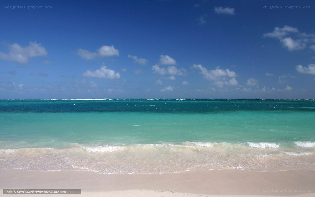 tropical beach with turquoise water