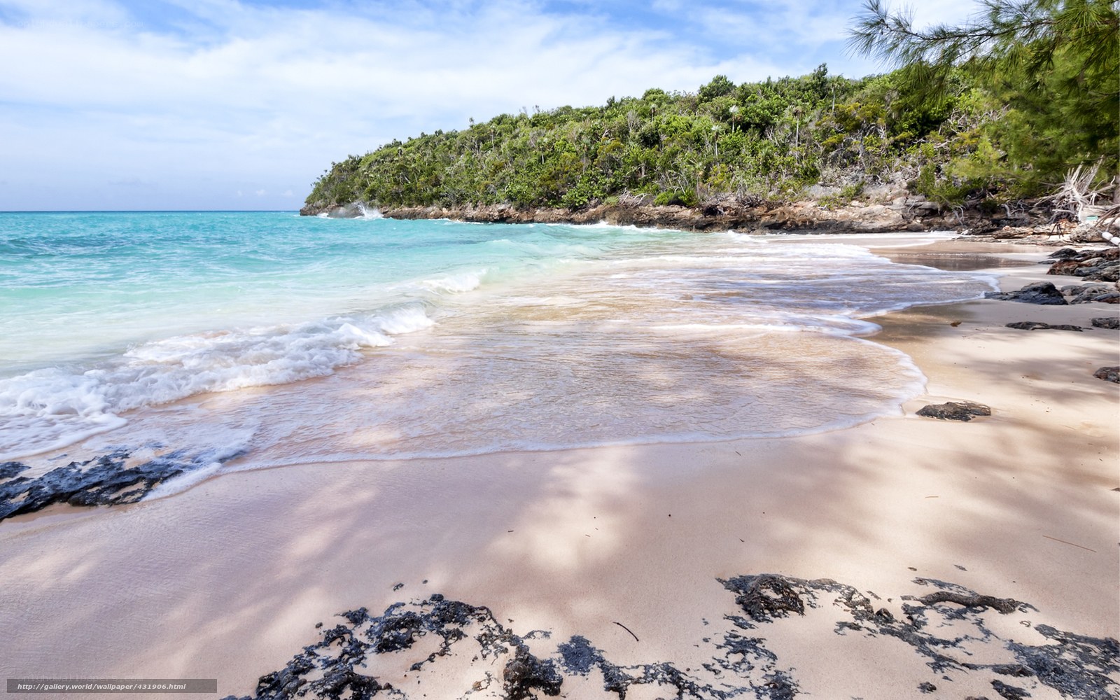 tropical beach with turquoise water