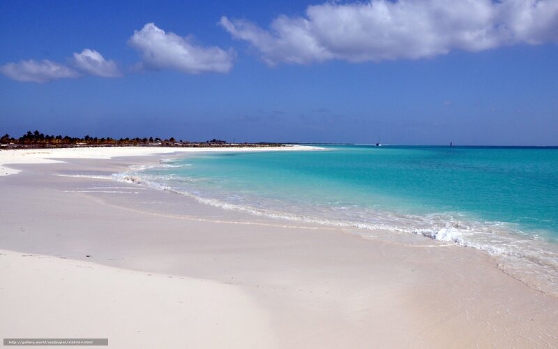 tropical beach with turquoise water