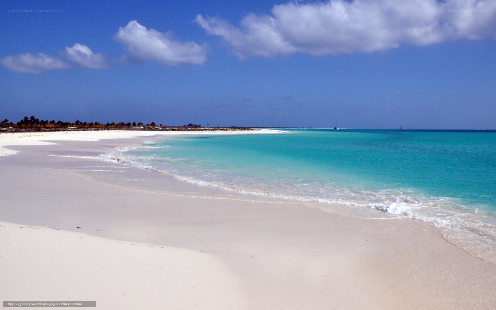 tropical beach with turquoise water