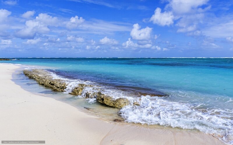 tropical beach with turquoise water