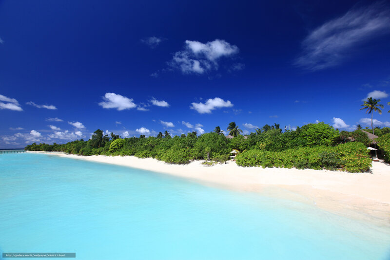 tropical beach with turquoise water