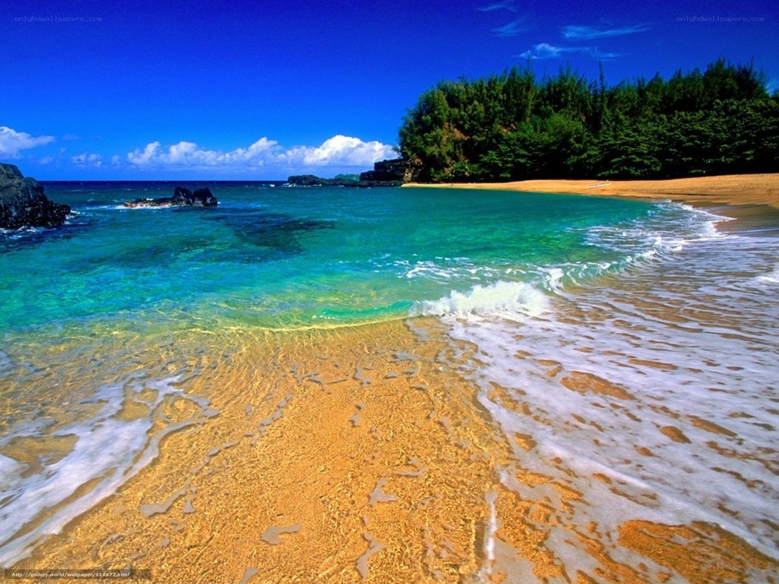 tropical beach with turquoise water
