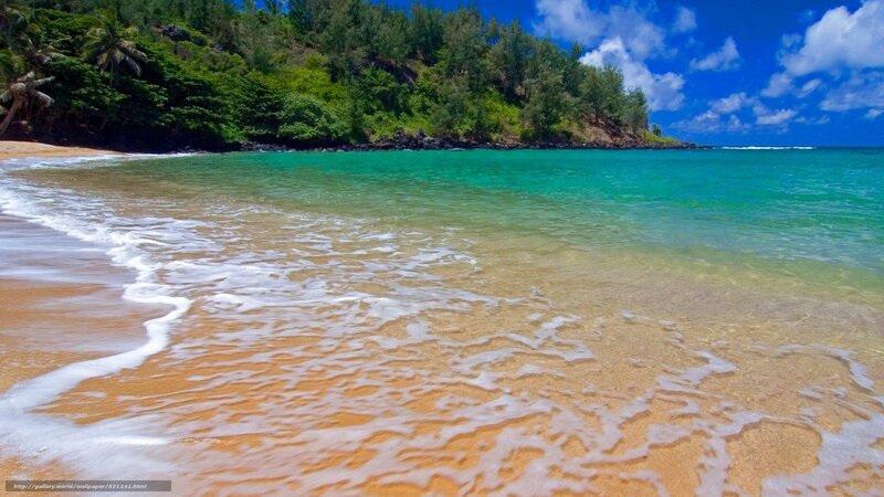 tropical beach with turquoise water
