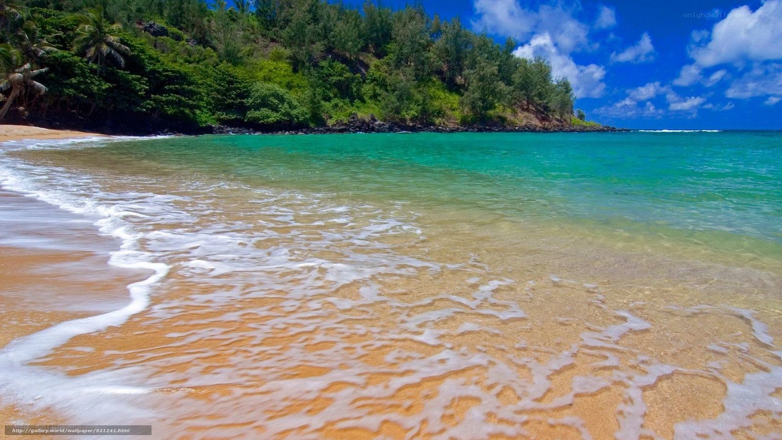 tropical beach with turquoise water