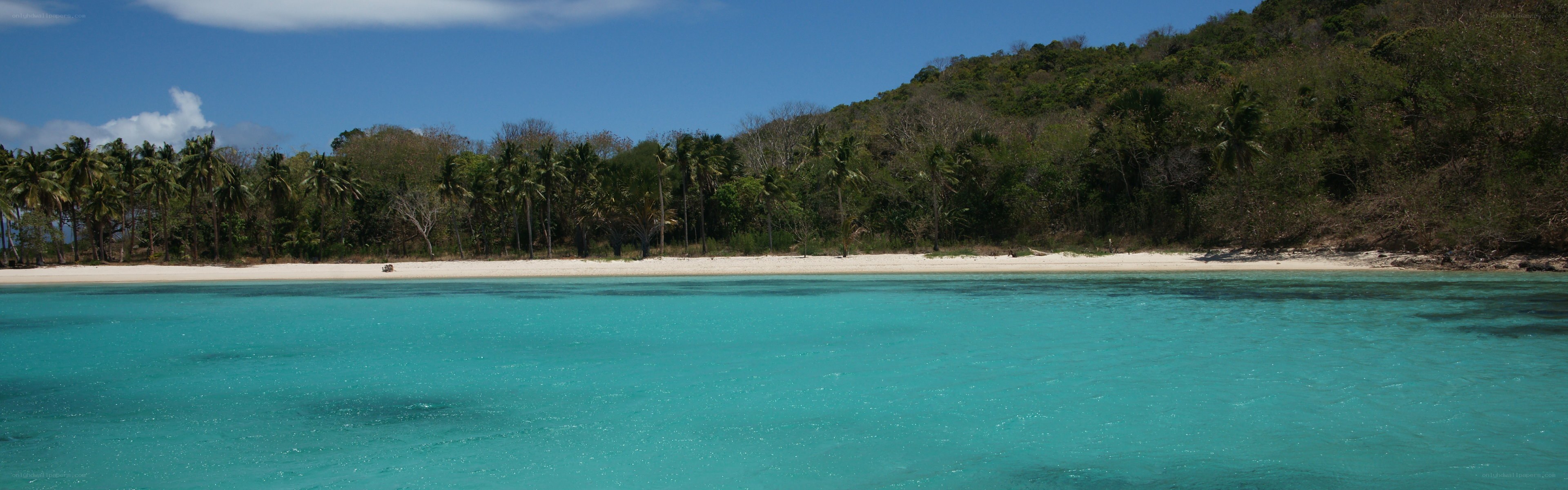 tropical beach with turquoise water