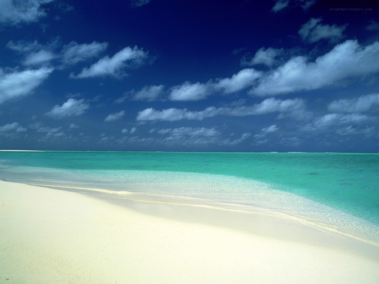 tropical beach with turquoise water
