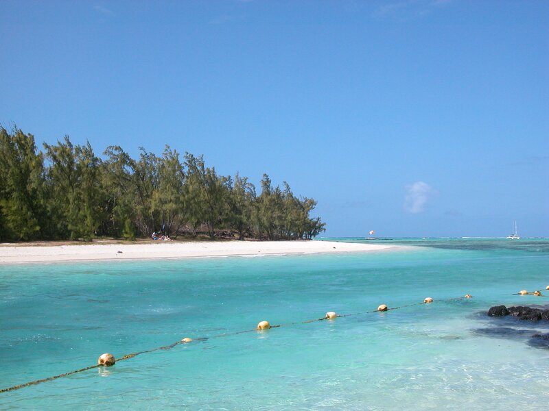 tropical beach with turquoise water