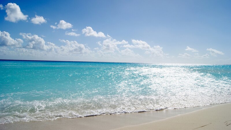 tropical beach with turquoise water