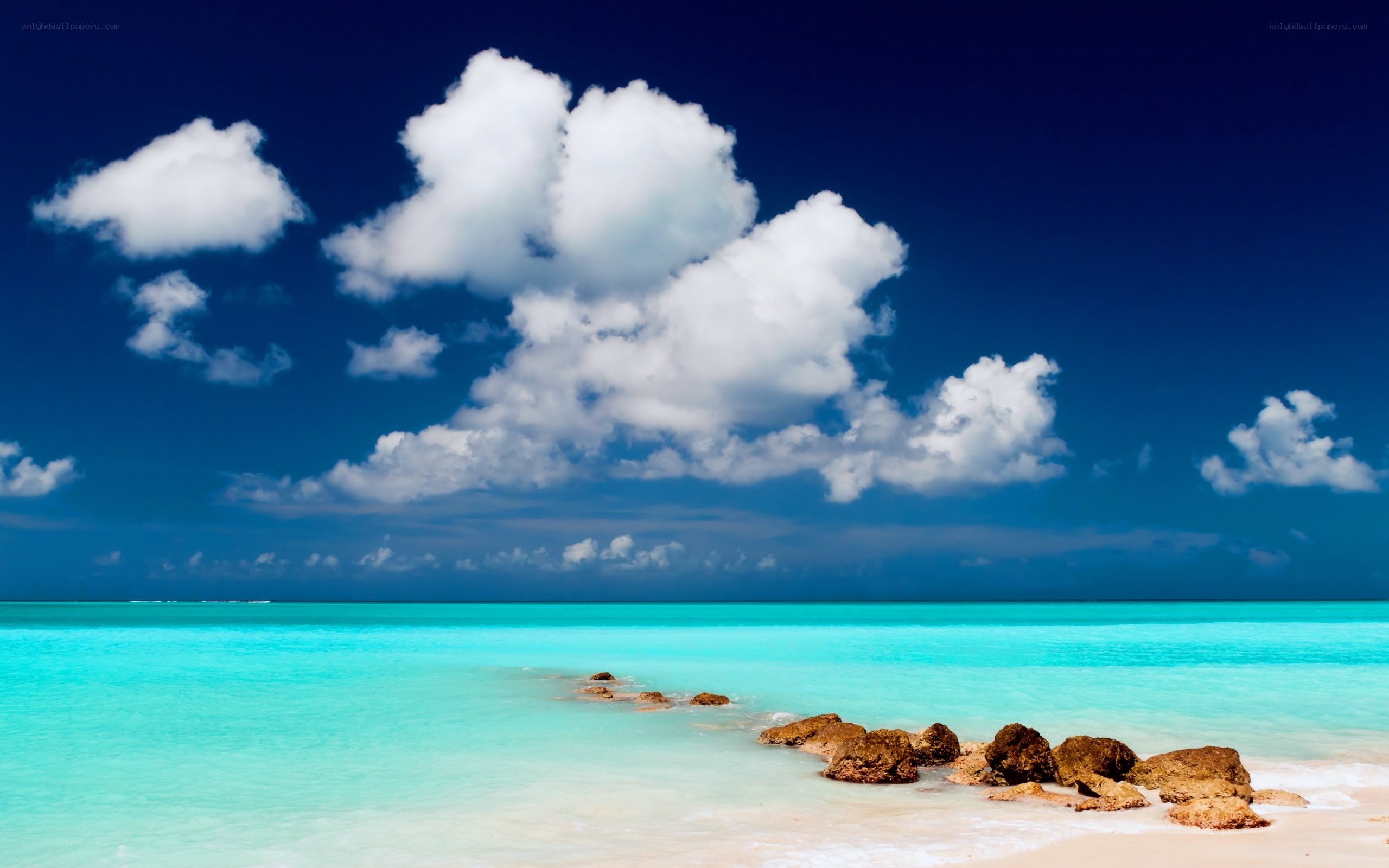 tropical beach with turquoise water