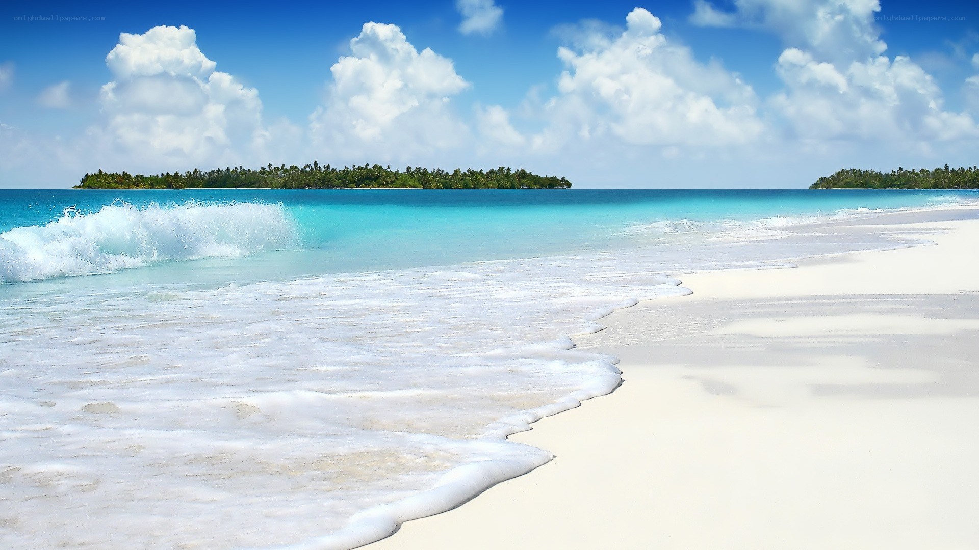 tropical beach with turquoise water