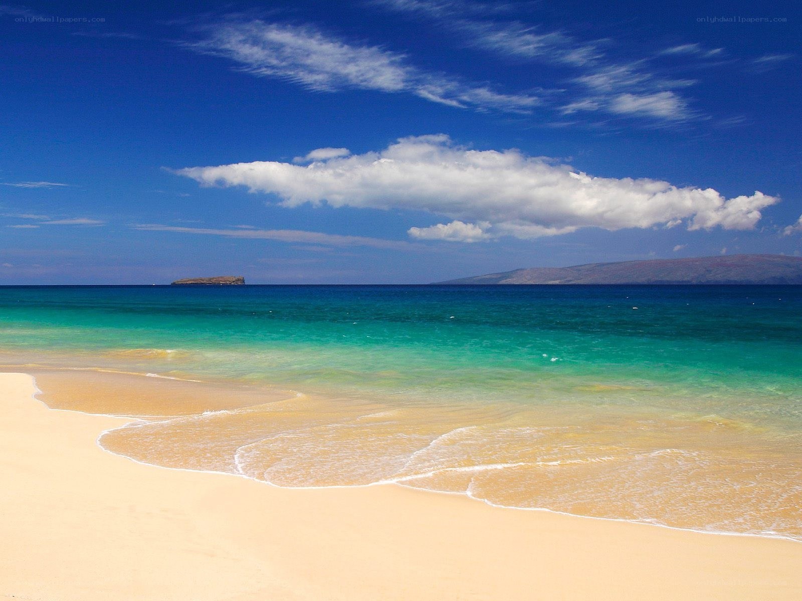 tropical beach with turquoise water