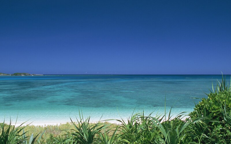 tropical beach with turquoise water