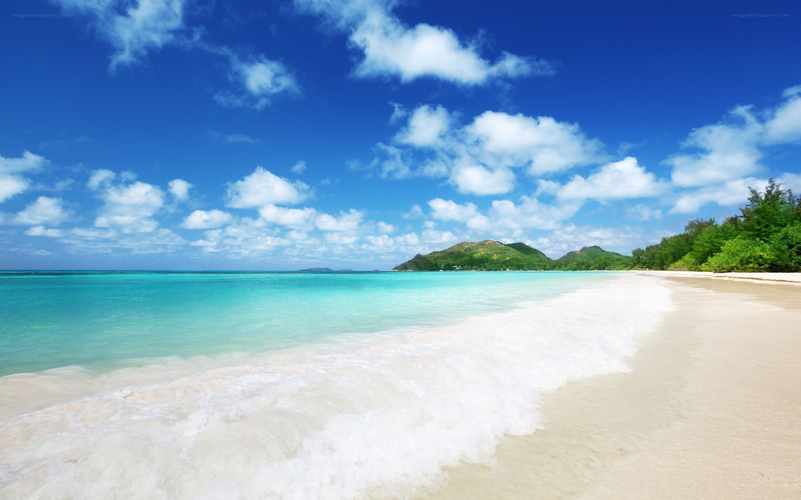 tropical beach with turquoise water