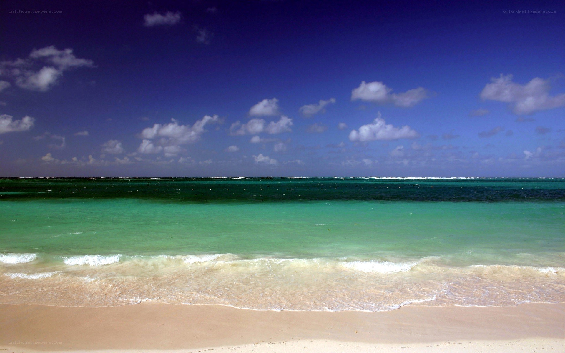 tropical beach with turquoise water