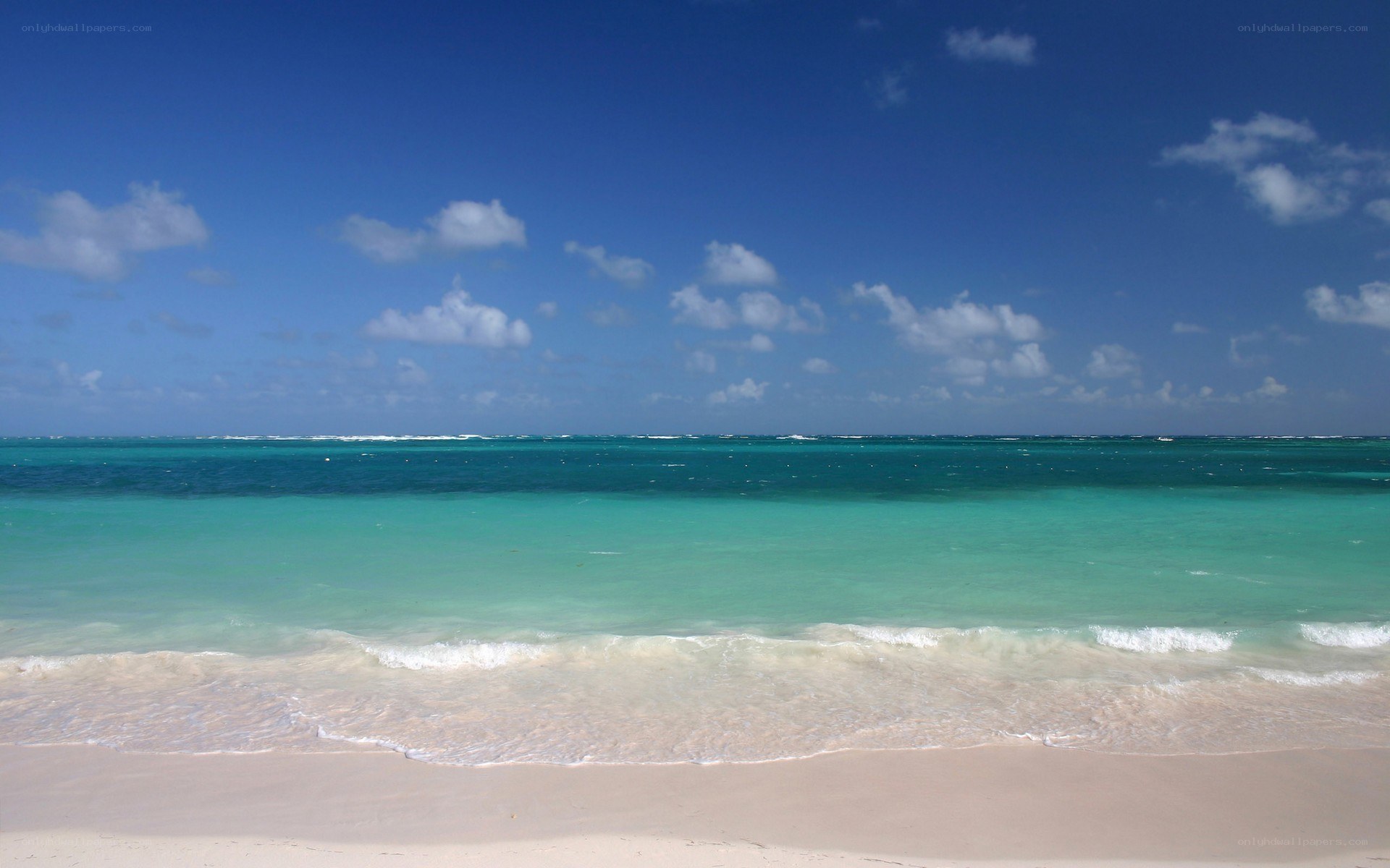 tropical beach with turquoise water