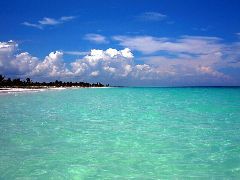 Tropical Beach with Turquoise Water — Blue, Serene, Afternoon, Photograph, Palm Trees, White Sand