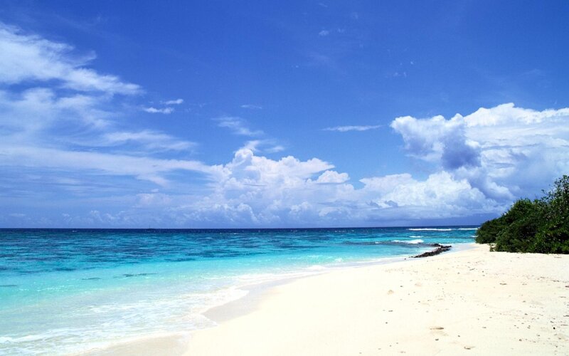 Tropical Beach with Turquoise Water — Blue, Serene, Afternoon, Photograph, Sand, Ocean, Clouds, Vegetation, White