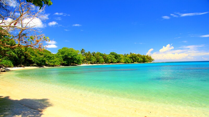 Tropical Beach with Turquoise Water — Blue, Serene, Afternoon, Photograph, Sand, Trees
