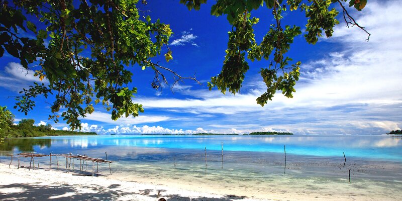 Tropical Beach with Turquoise Water — Blue, Serene, Afternoon, Photograph, Trees