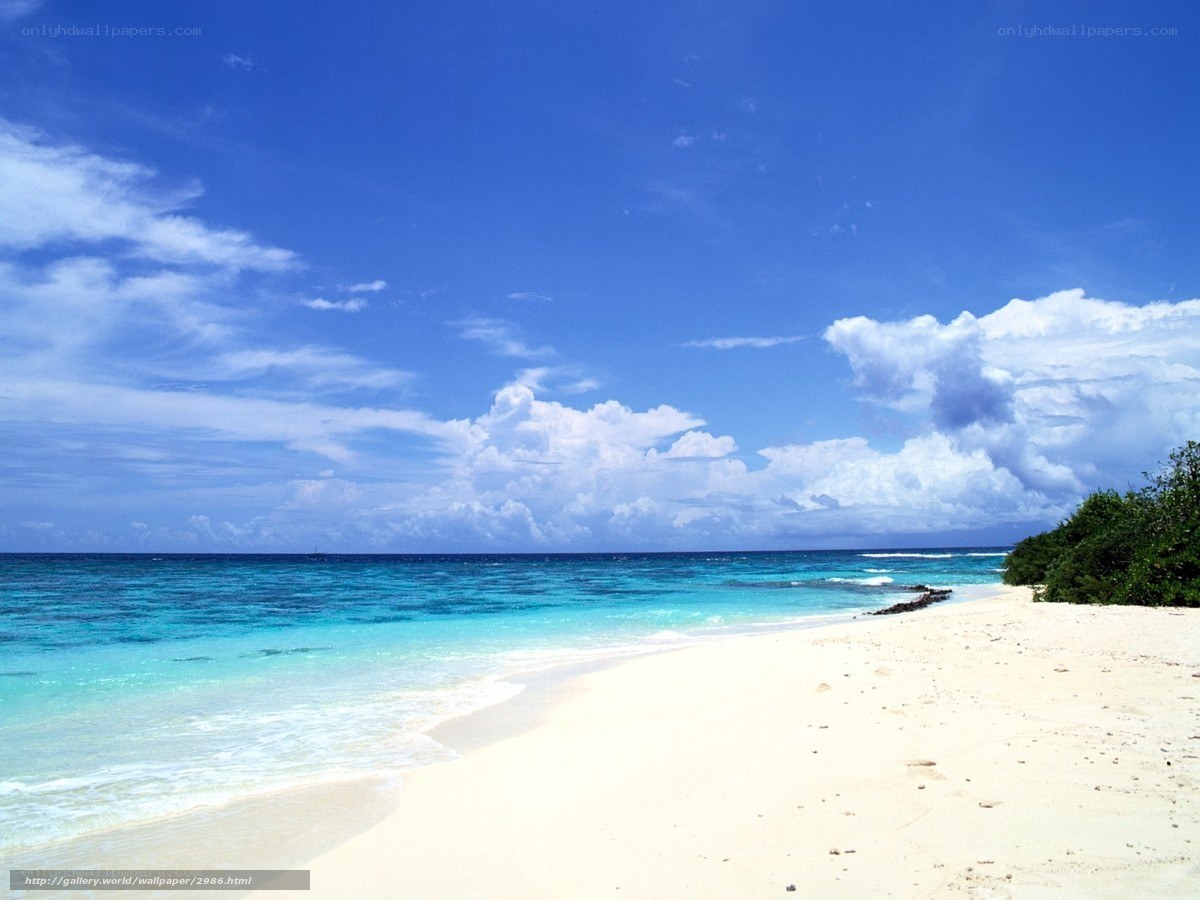 tropical beach with turquoise water