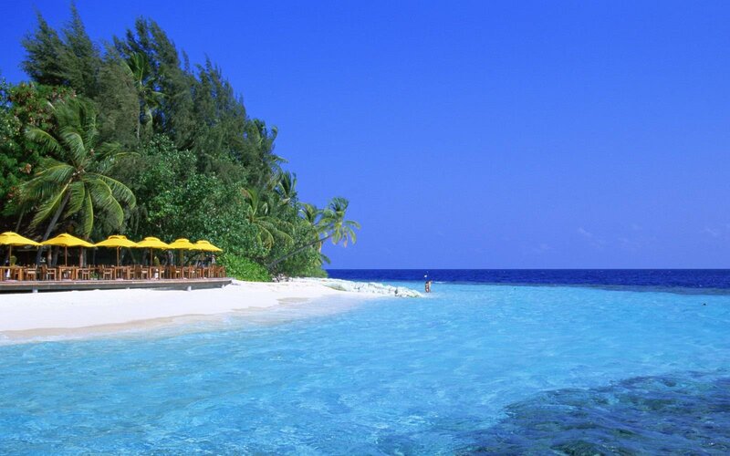 Tropical Beach with Umbrellas — Blue, Serene