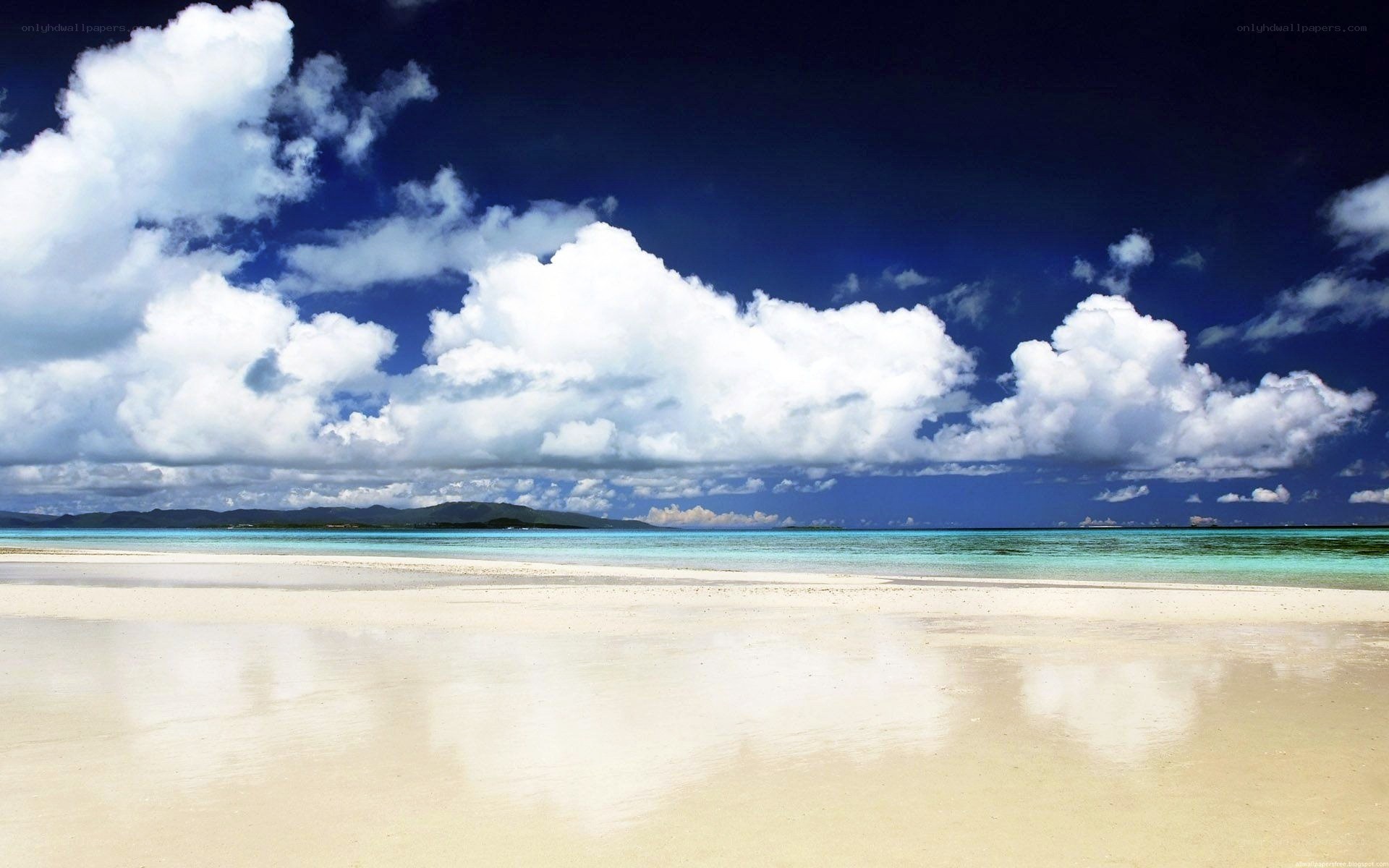 tropical beach with white sand