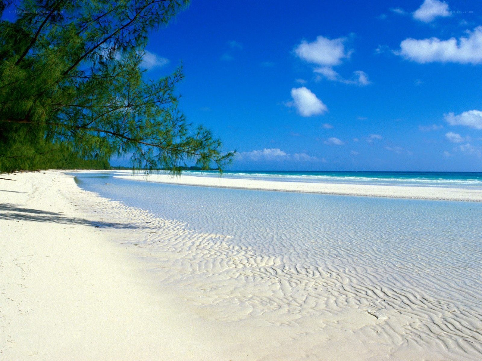 tropical beach with white sand