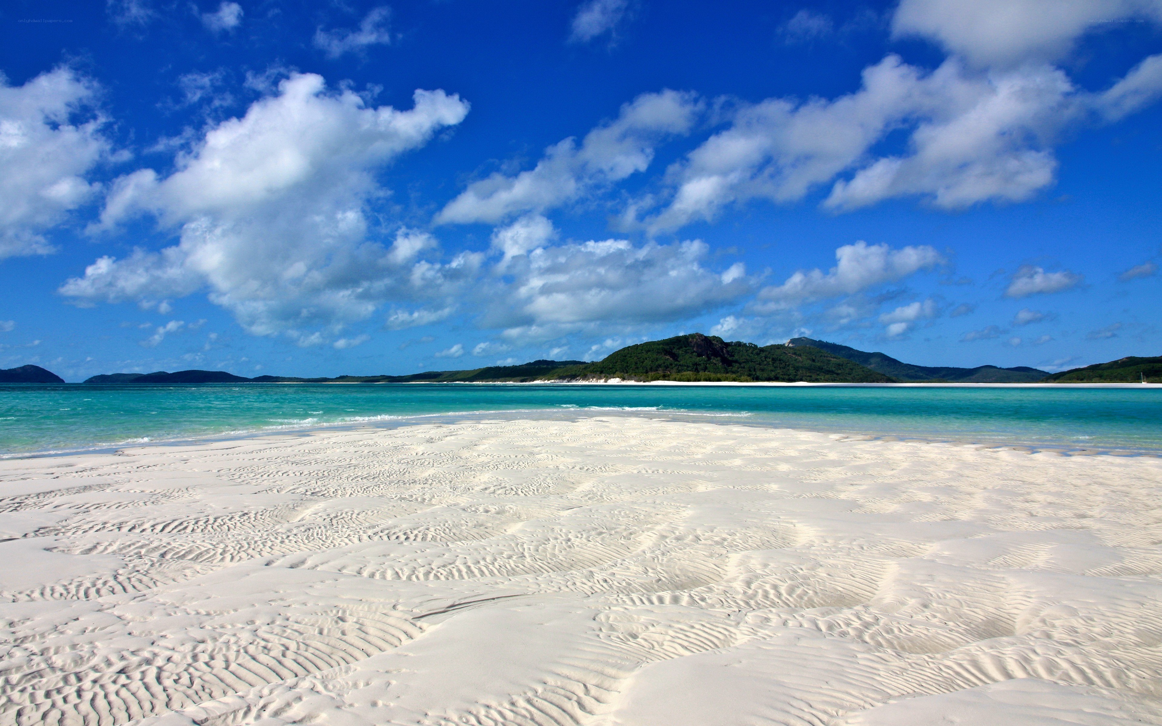 tropical beach with white sand
