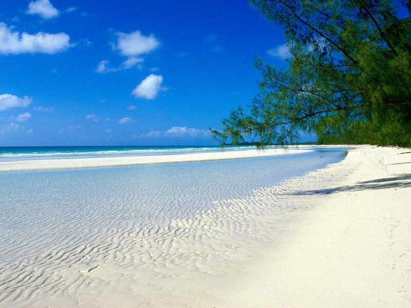 tropical beach with white sand