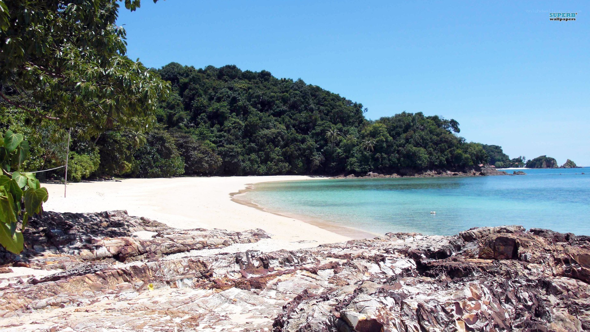 tropical beach with white sand