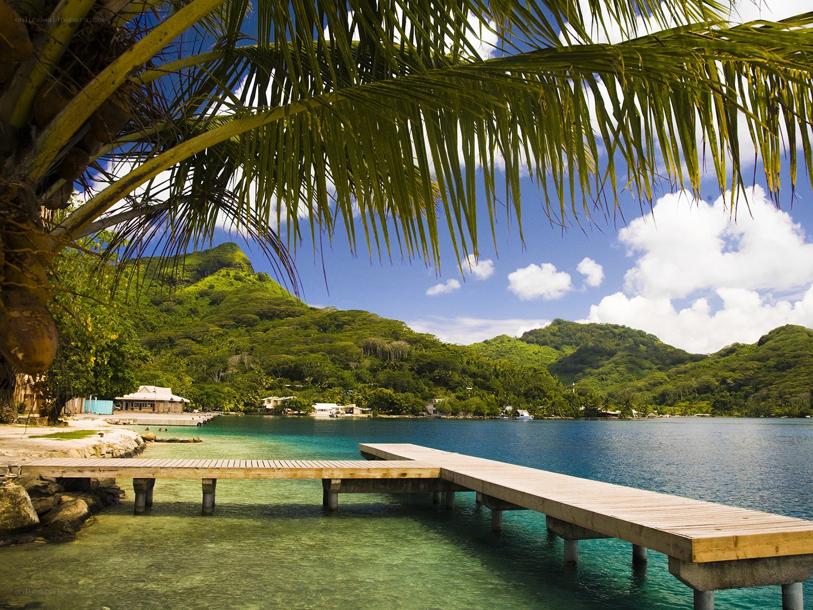 tropical beach with wooden dock