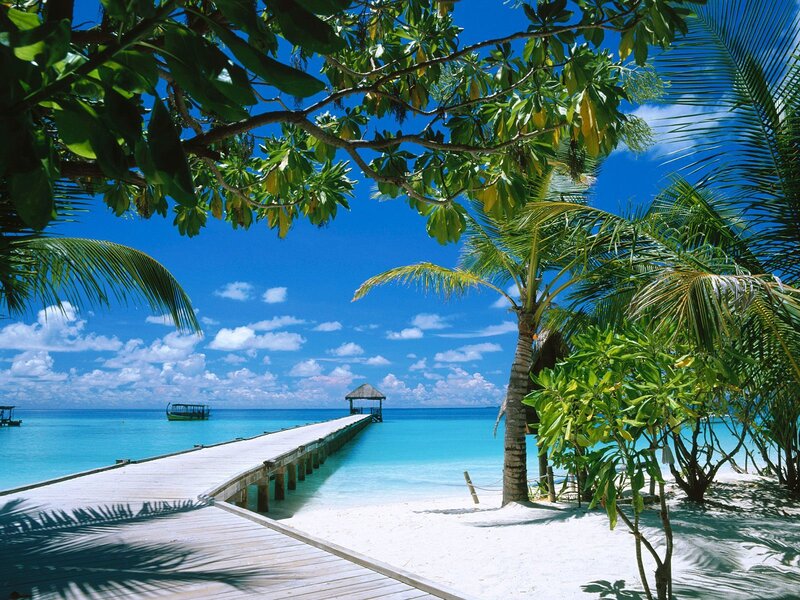 Tropical beach with wooden pier
