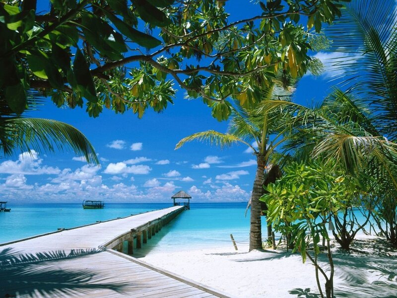 tropical beach with wooden pier