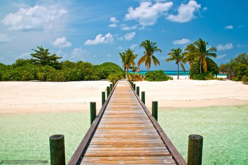 tropical beach with wooden pier