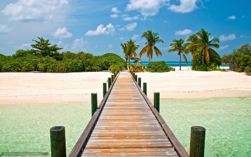 tropical beach with wooden pier