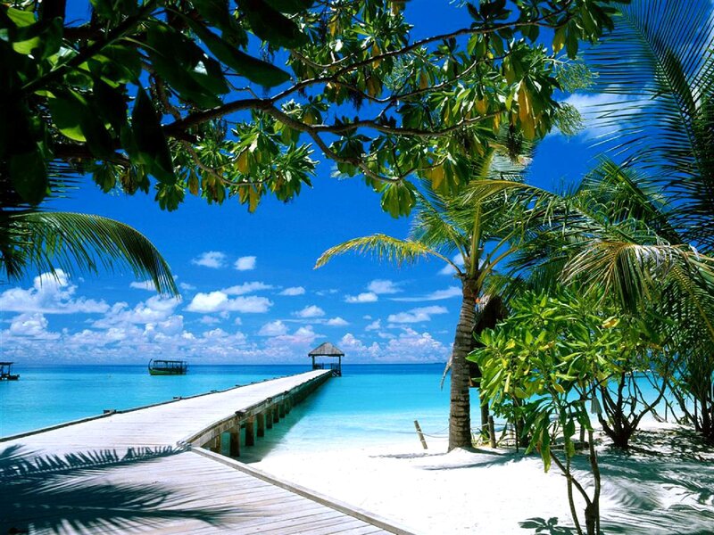 tropical beach with wooden pier