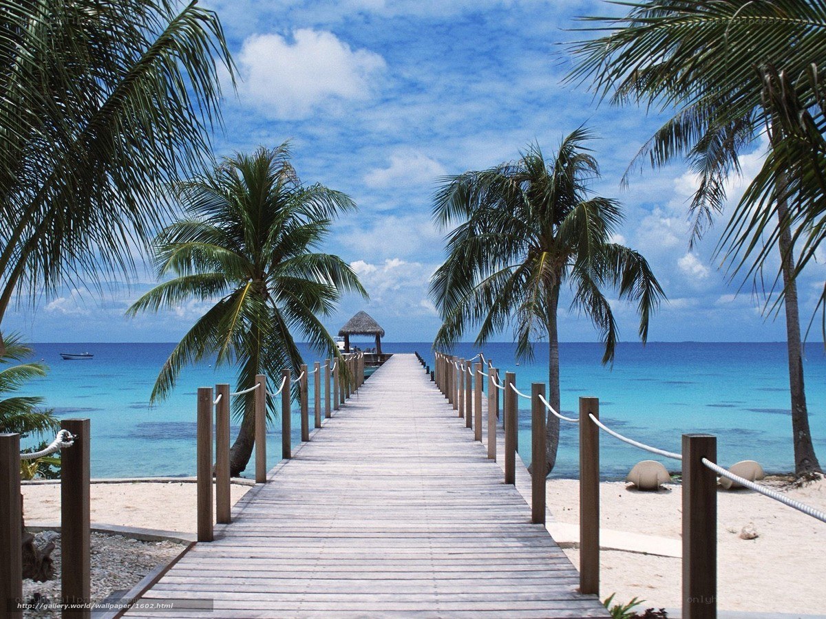 tropical beach with wooden pier