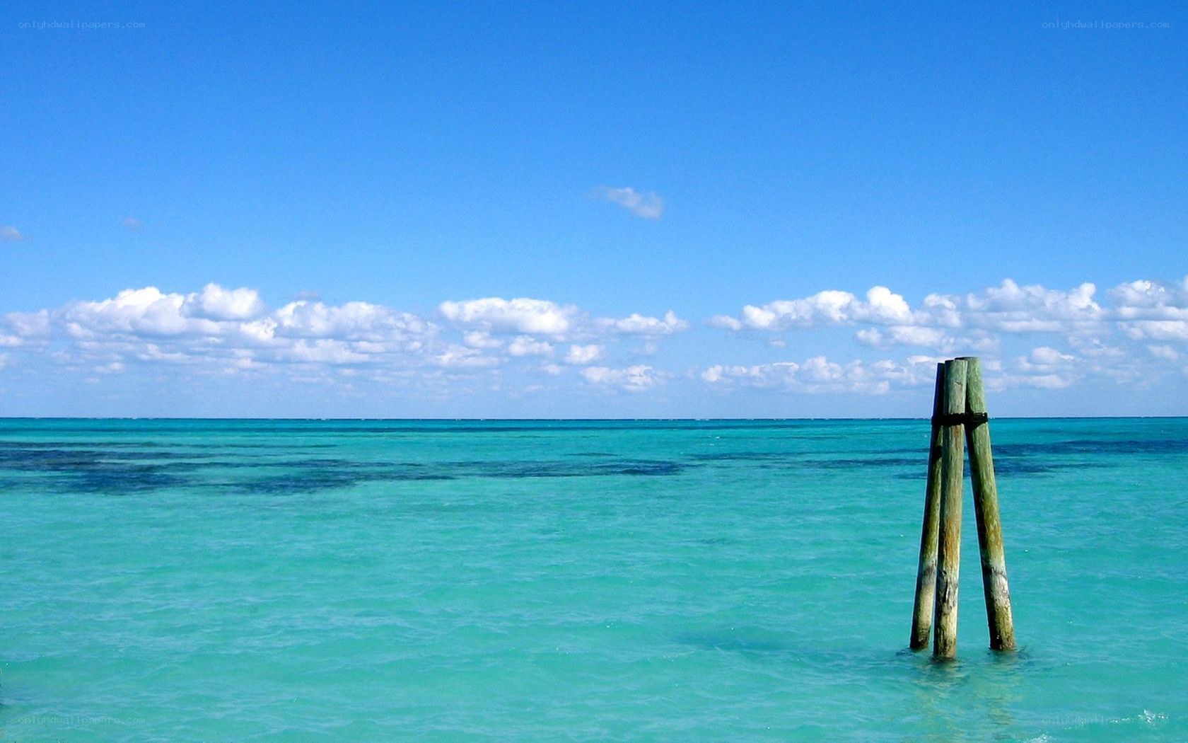 tropical beach with wooden posts