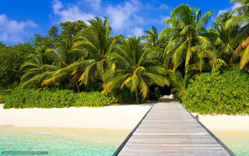 tropical beach with wooden walkway
