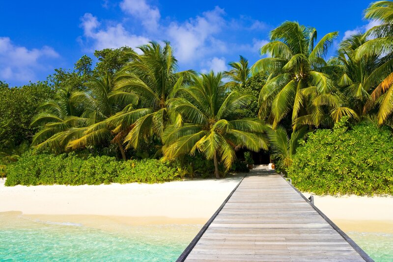 tropical beach with wooden walkway