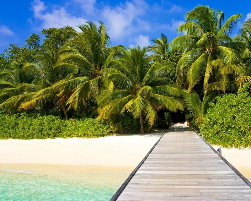 tropical beach with wooden walkway