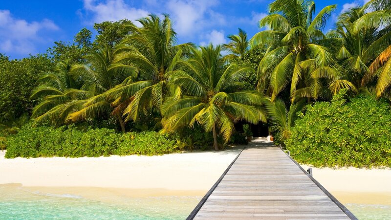 tropical beach with wooden walkway