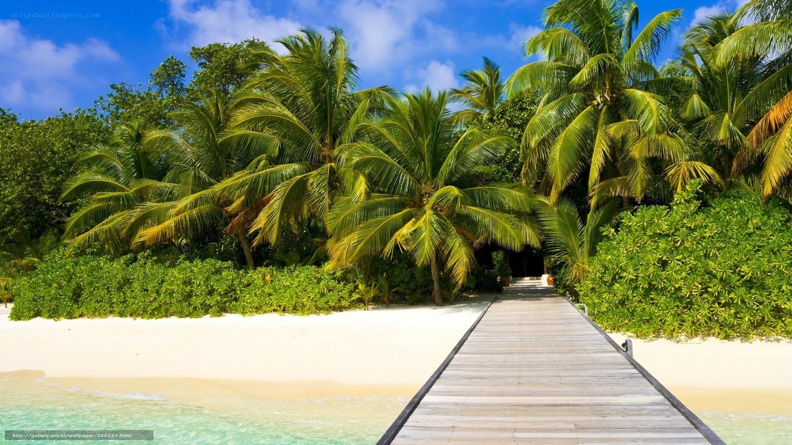 Tropical beach with wooden walkway