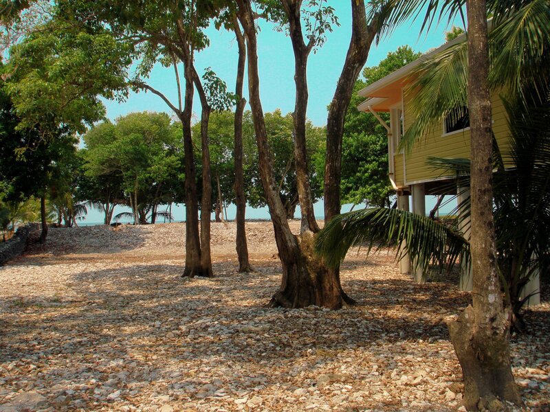 tropical beach with yellow house